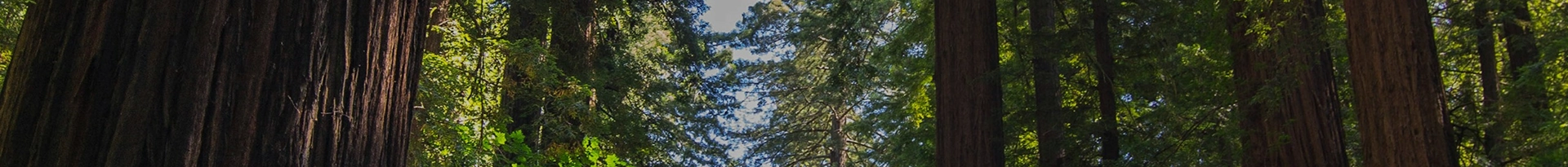 Banner 360 Quality Approved