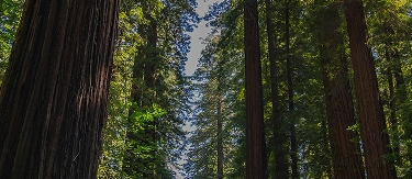 Banner 360 Quality Approved